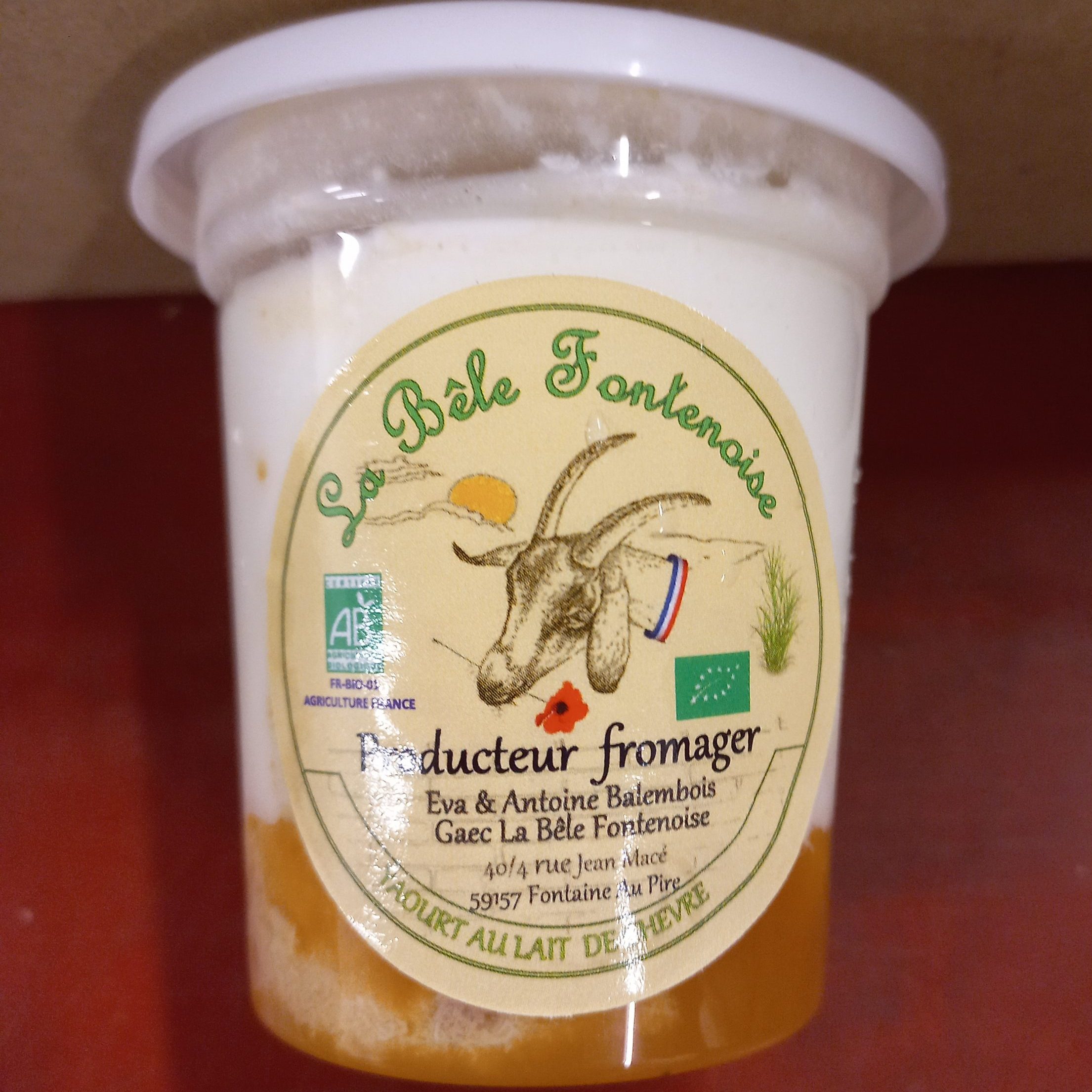 yaourt bio a l'abricot