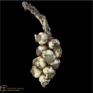 Tresse d'ail fumé - 10 têtes