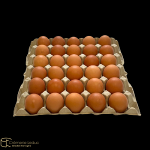 Œuf de plein air - calibre 1